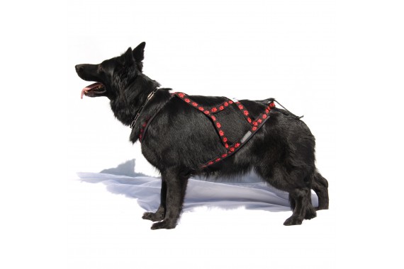 Bikejöring Hundegeschirr X-Back-Zuggeschirr Größe XL 