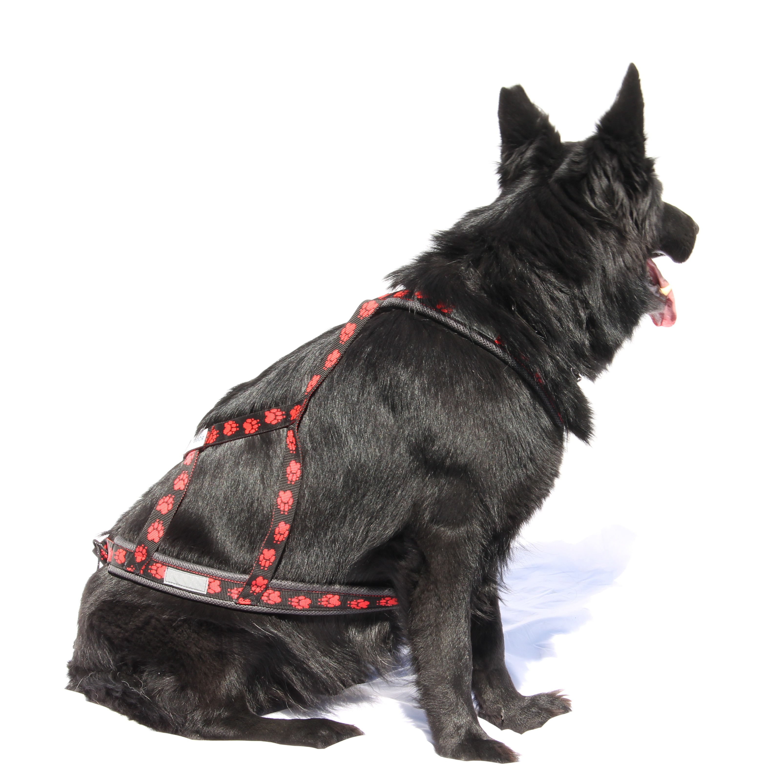 Comfort X Hundegeschirr – Doppelschnallsystem & Atmungsaktives Mesh Für Kleine Hunde, Größe XL